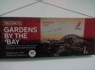 This image has an empty alt attribute; its file name is IMG_20151125_194820.jpg