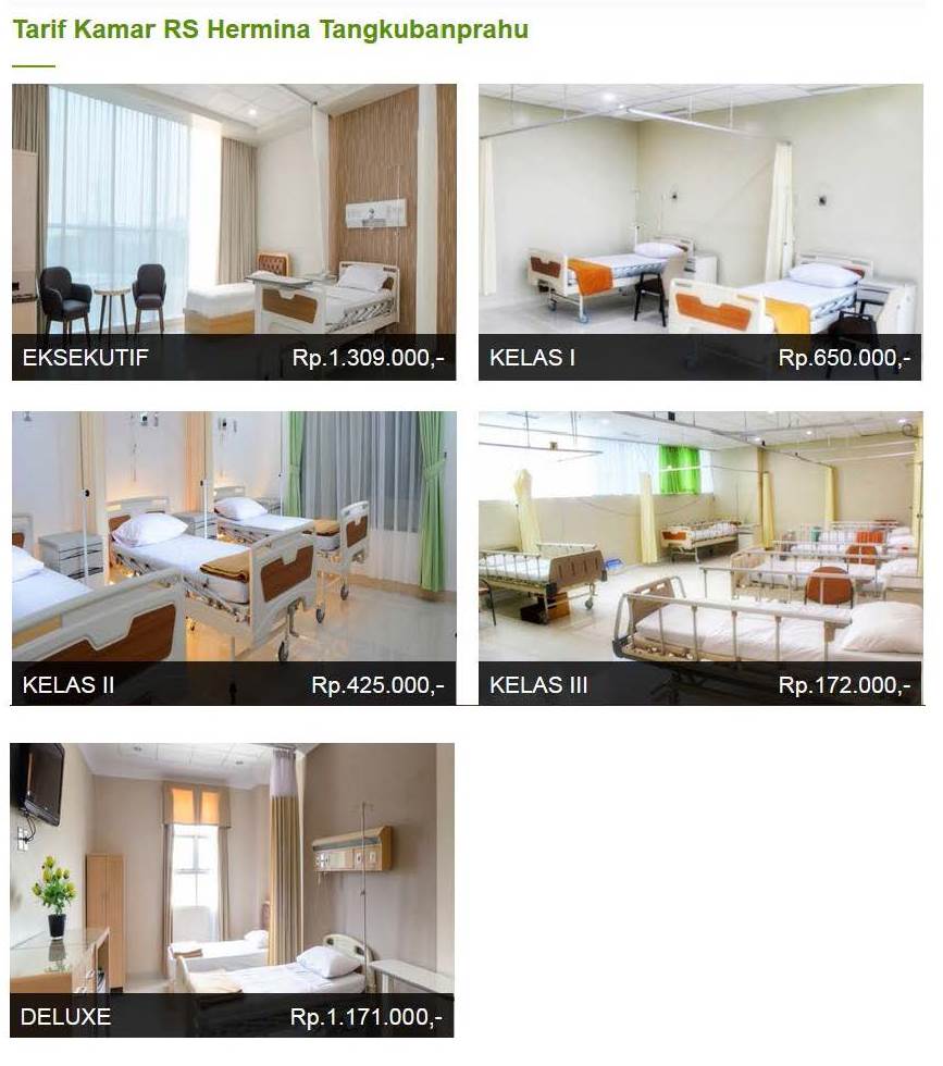 This image has an empty alt attribute; its file name is hermina.jpg